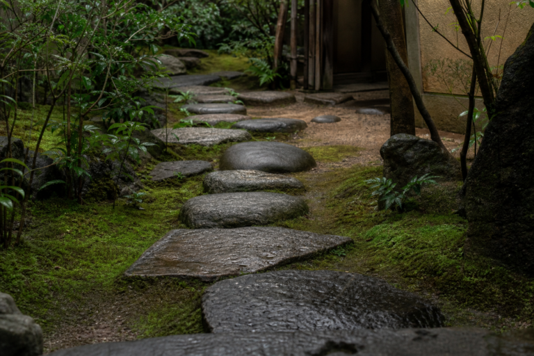苔の露地を茶室へ導く飛石
