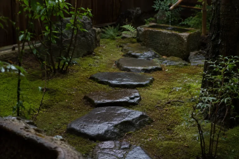 雨に濡れた飛石と蹲踞へ続く露地を低い視点から捉えた風景